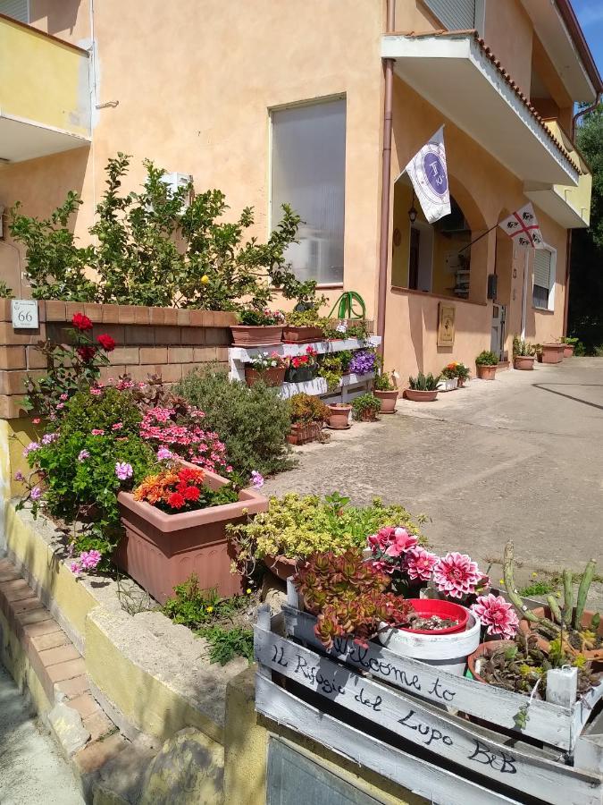 B&B Il Rifugio del Lupo Paringianu Esterno foto